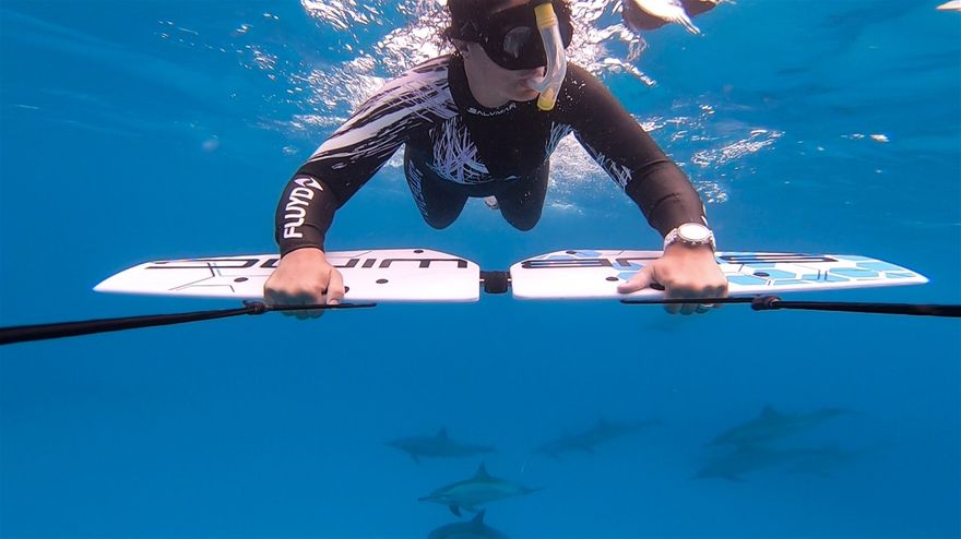superbe moment avec les dauphins en subwing avril 2019